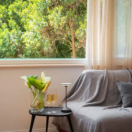 Luxury Luft Center Apartment